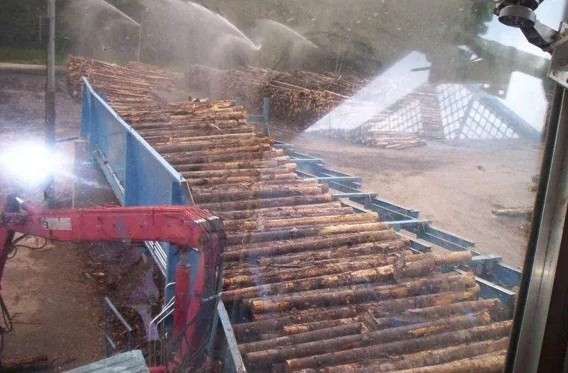 Photograph of Log deck (1/1)