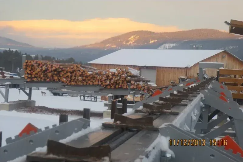 Photograph of Sorting line (2/2)